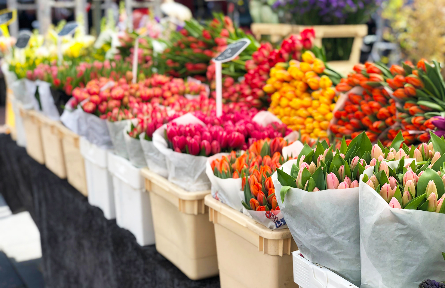 Amsterdam marché aux fleurs