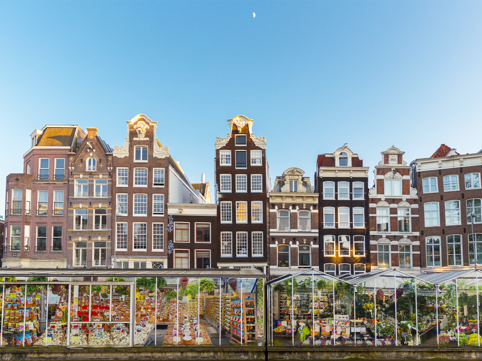 the flower market in amsterdam