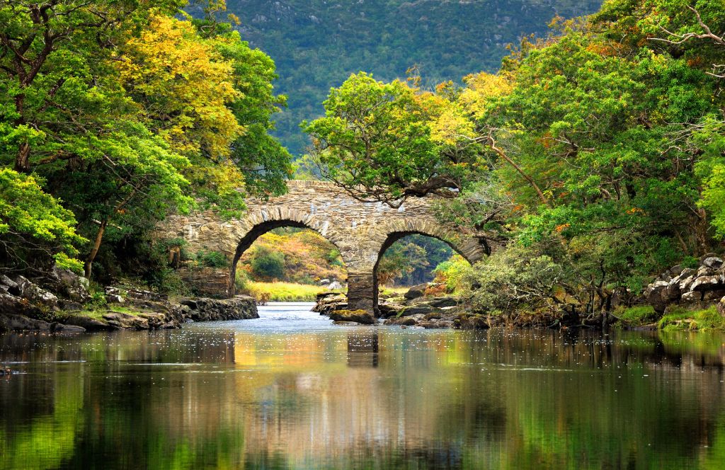 a bridge in killarney national park