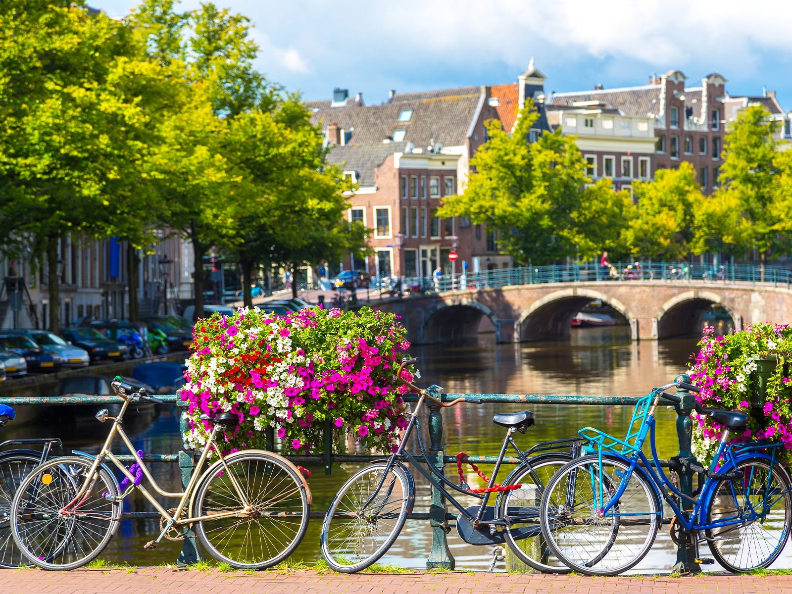 10 Things You Should Know Before Visiting Amsterdam