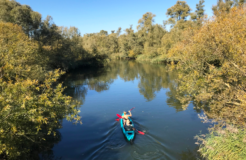 Canoe tour through the bush in Amsterdam