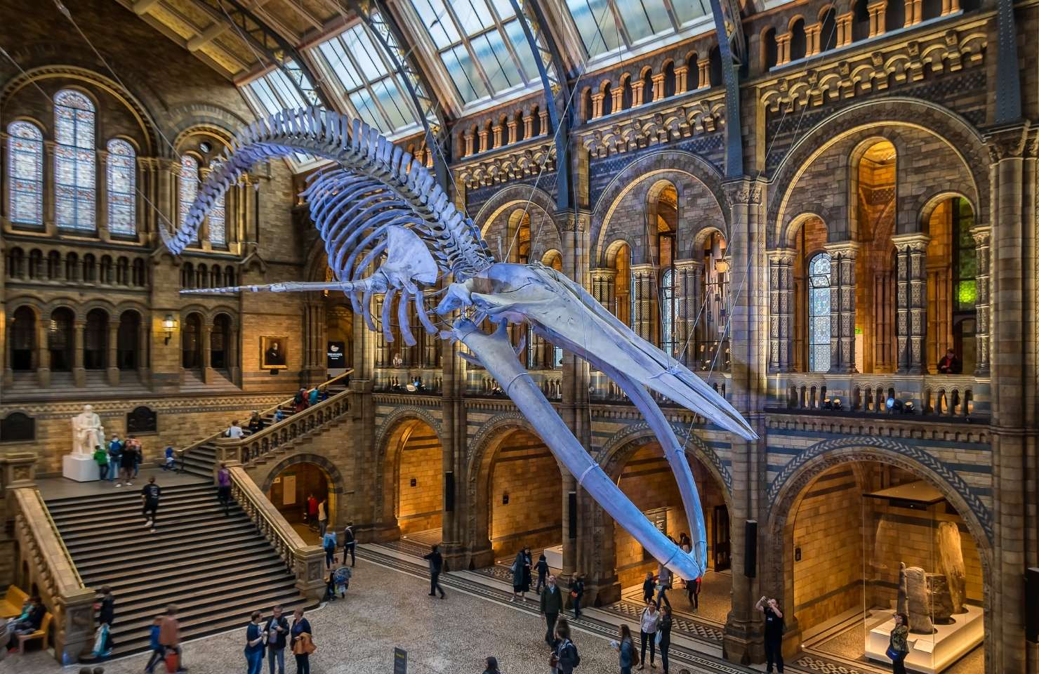 Natural history museum 