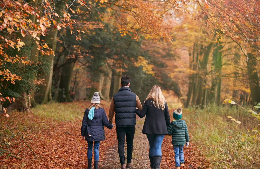 a family make the most of autumn in the uk during a walk through a forest
