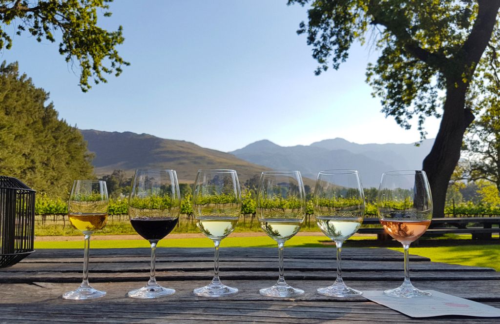 Stellenbosch-Wine-Tasting