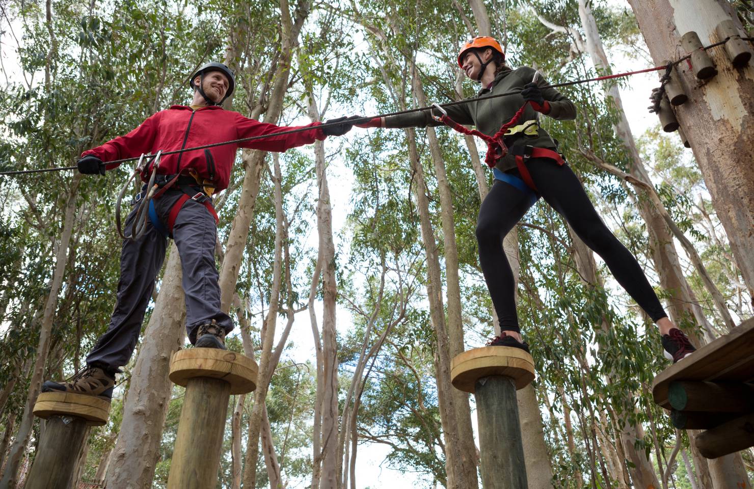 a couple doing a tree top activity