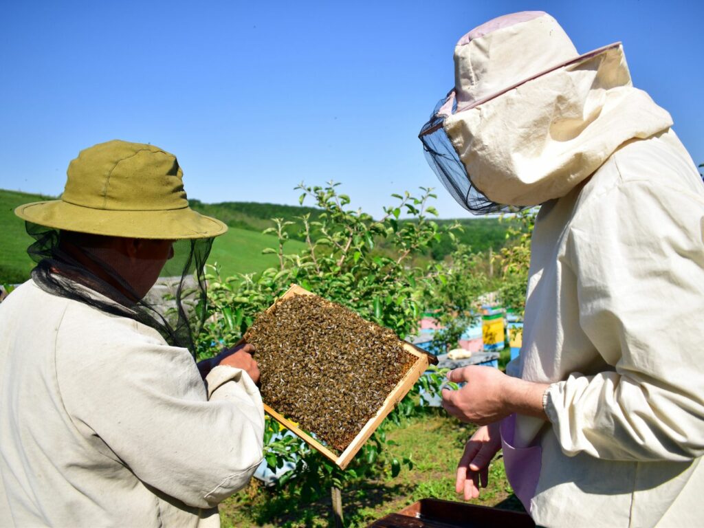beekeeping gift experience for parents