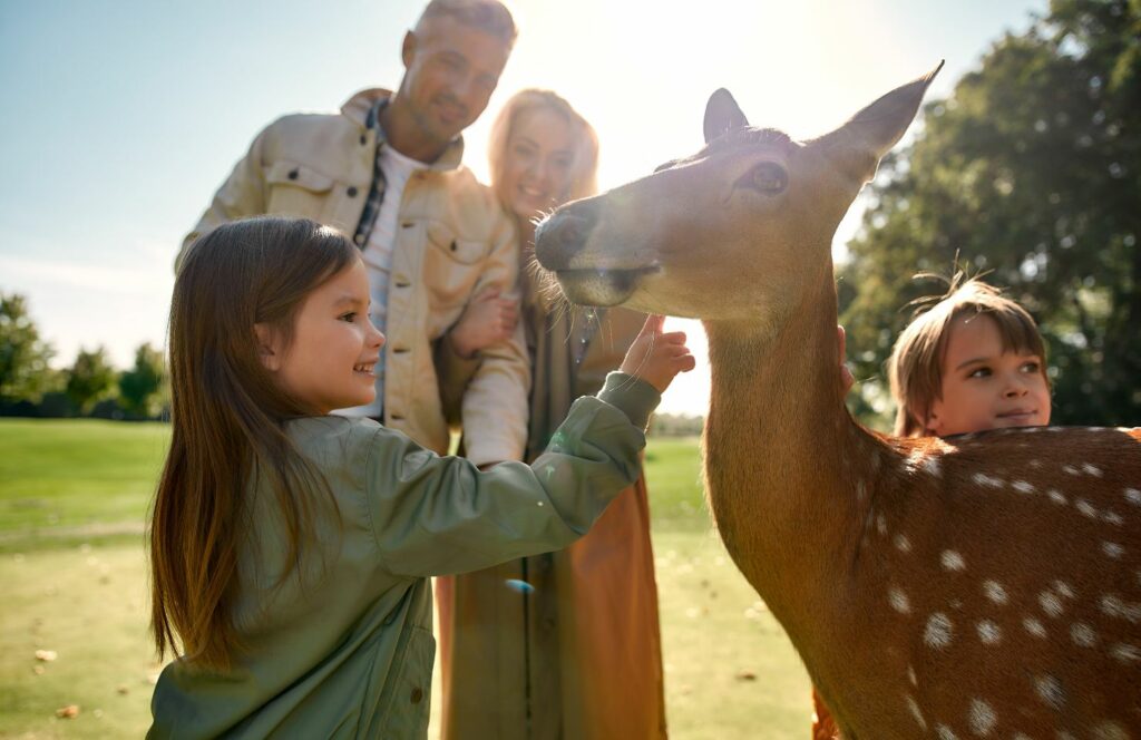 une famille nourrit un cerf dans un parc animalier