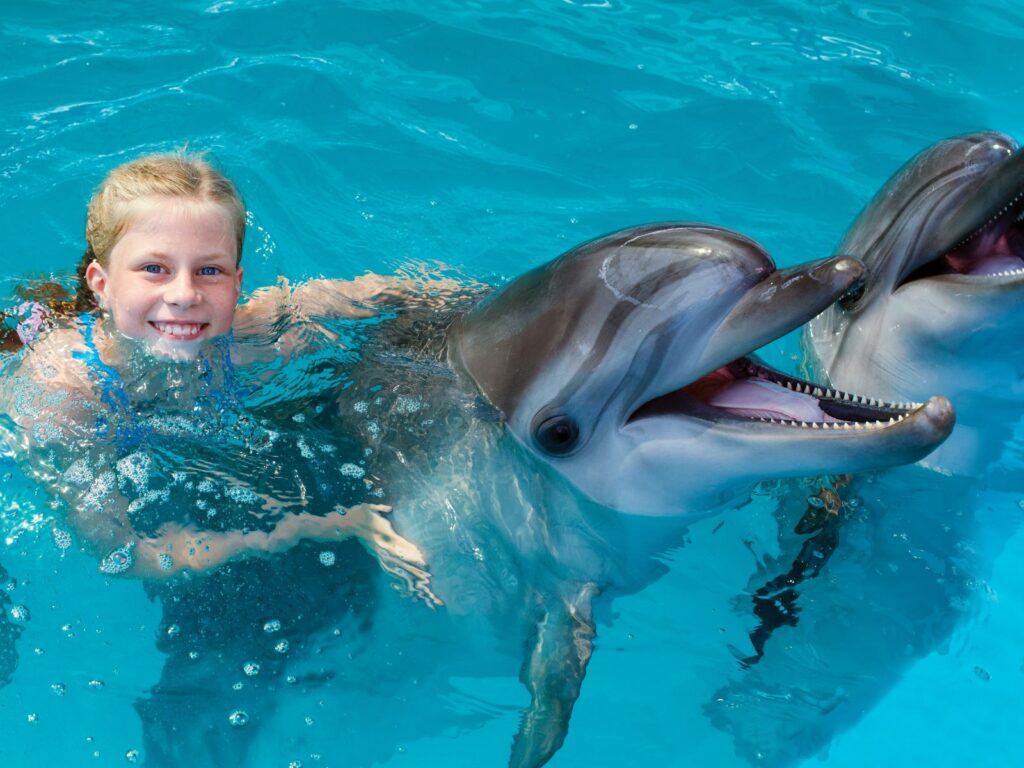 a little girl swims with dolphins as part of kids experience gift