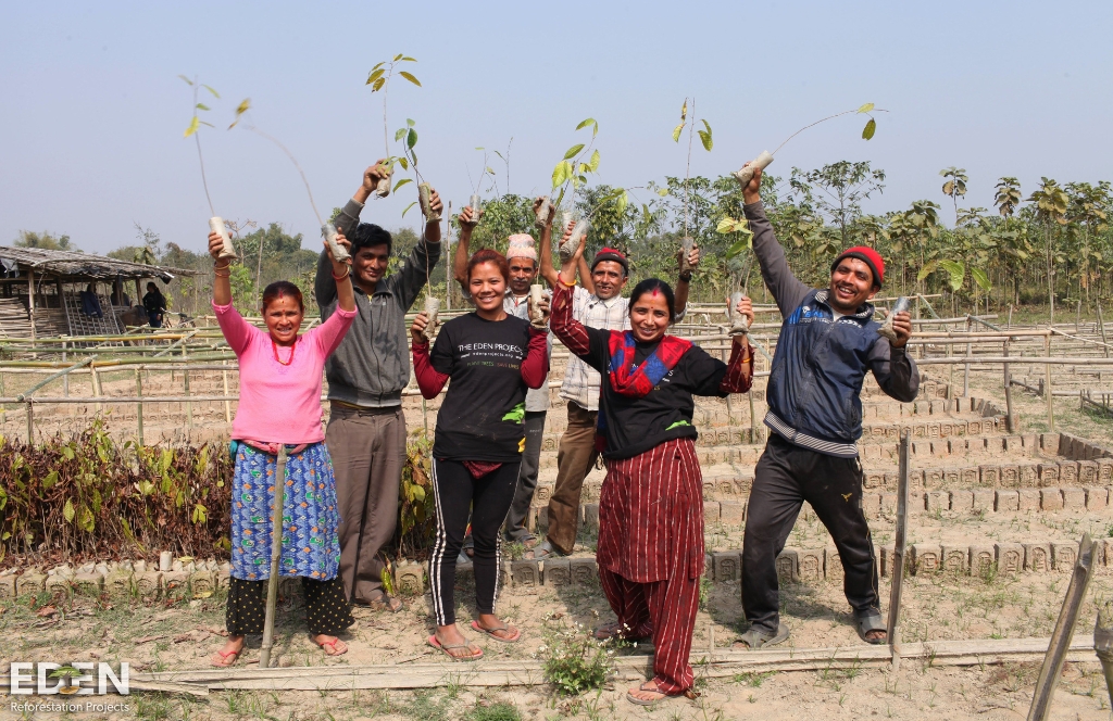 Workers cheering in front of one of the tree fields