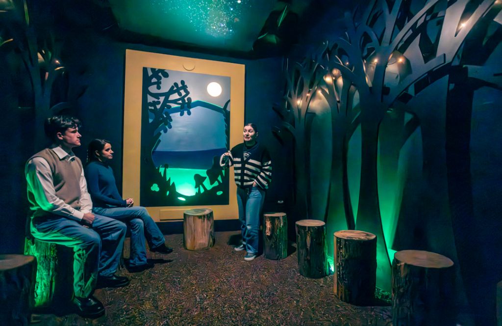 leprechaun museum in dublin