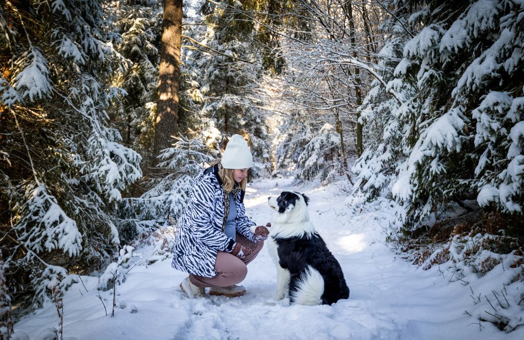 Een vrouw maakt een feestelijke wandeling met haar colliehond in de sneeuw