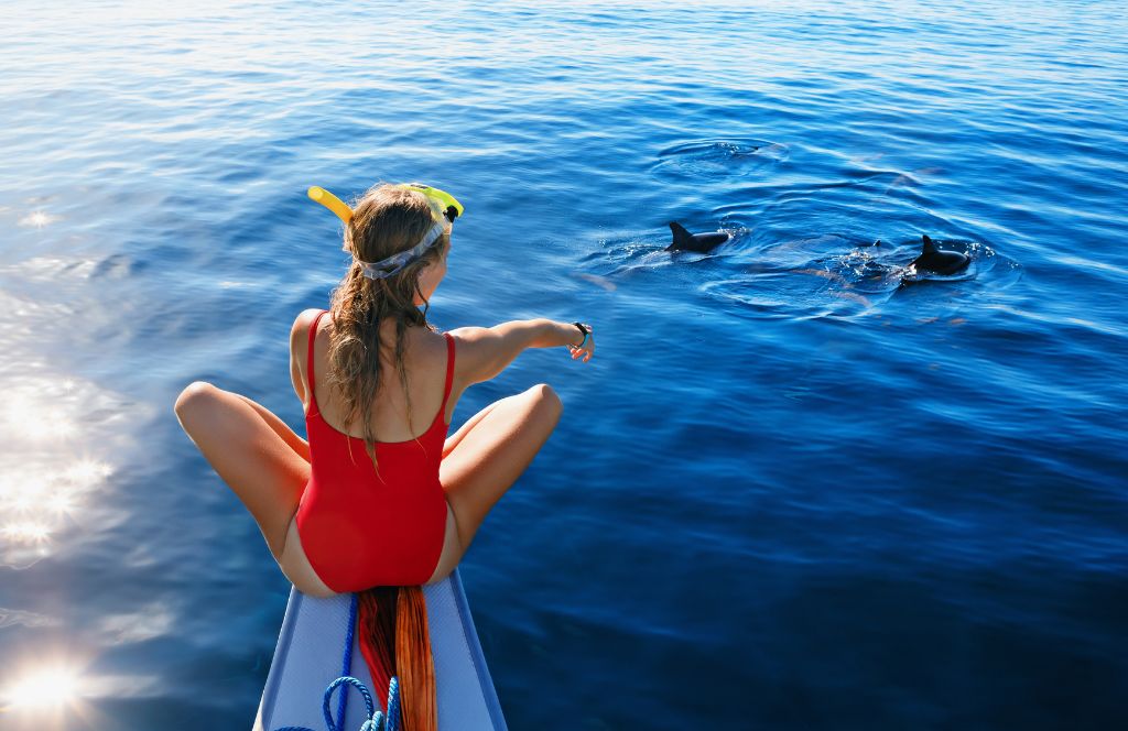 a girl redeems her experience voucher on. a dolphin cruise 