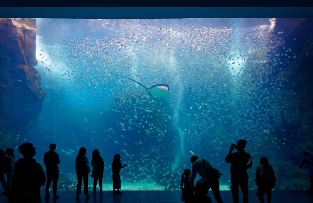 one of the best corporate team building activities is a trip to the london aquarium