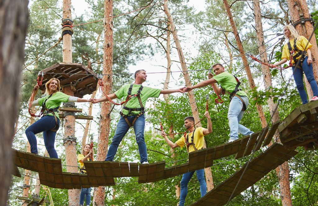 an office team doing a corporate away day in the trees