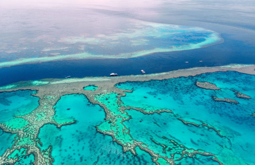 gift a Father's Day experience to the great barrier reef