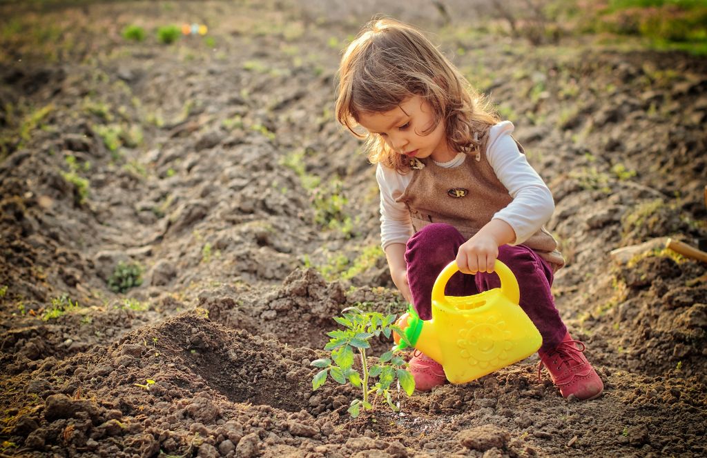plant seeds with your kids in easter 2024