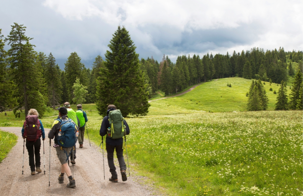 Eine Gruppe wandert im Schwarzwald