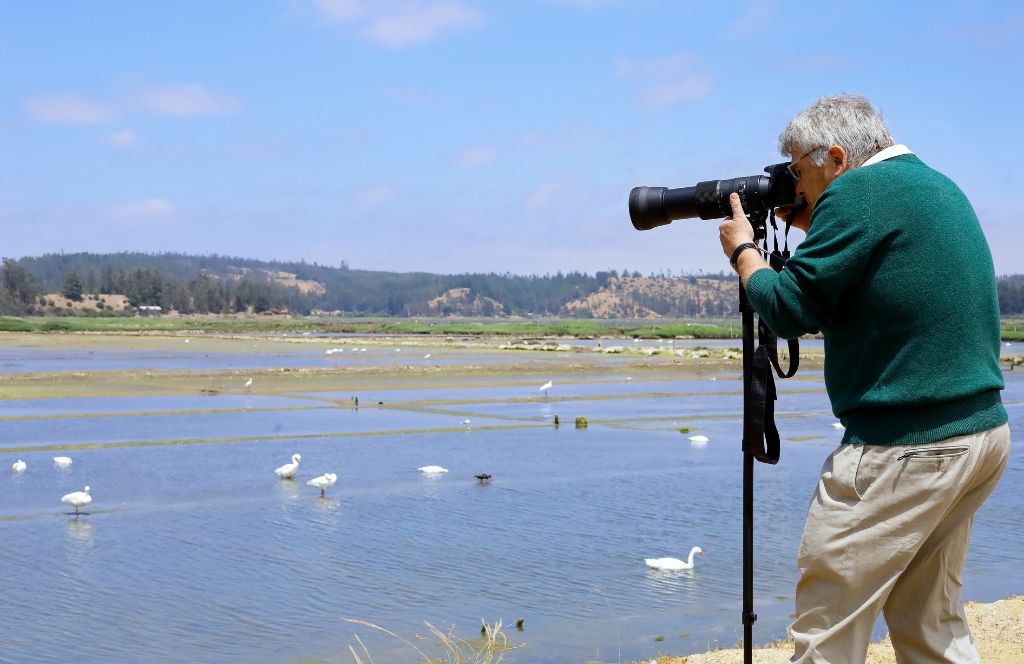 take your dad birdwatching as a fun fathers day idea