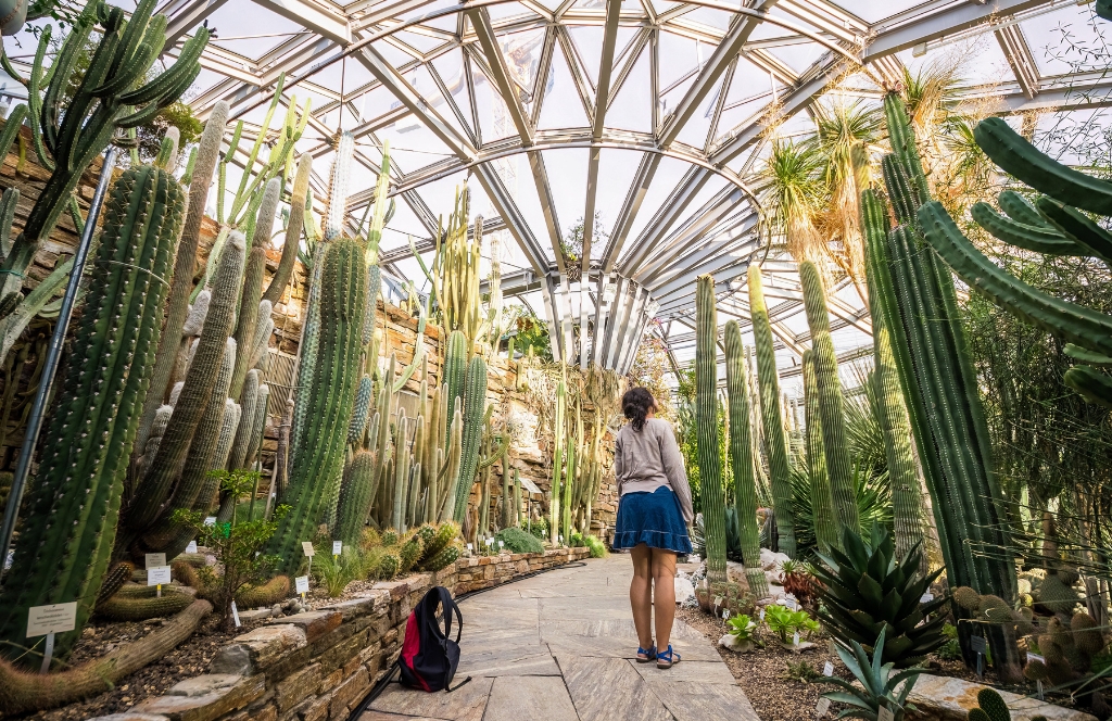 Frau im botanischen Garten