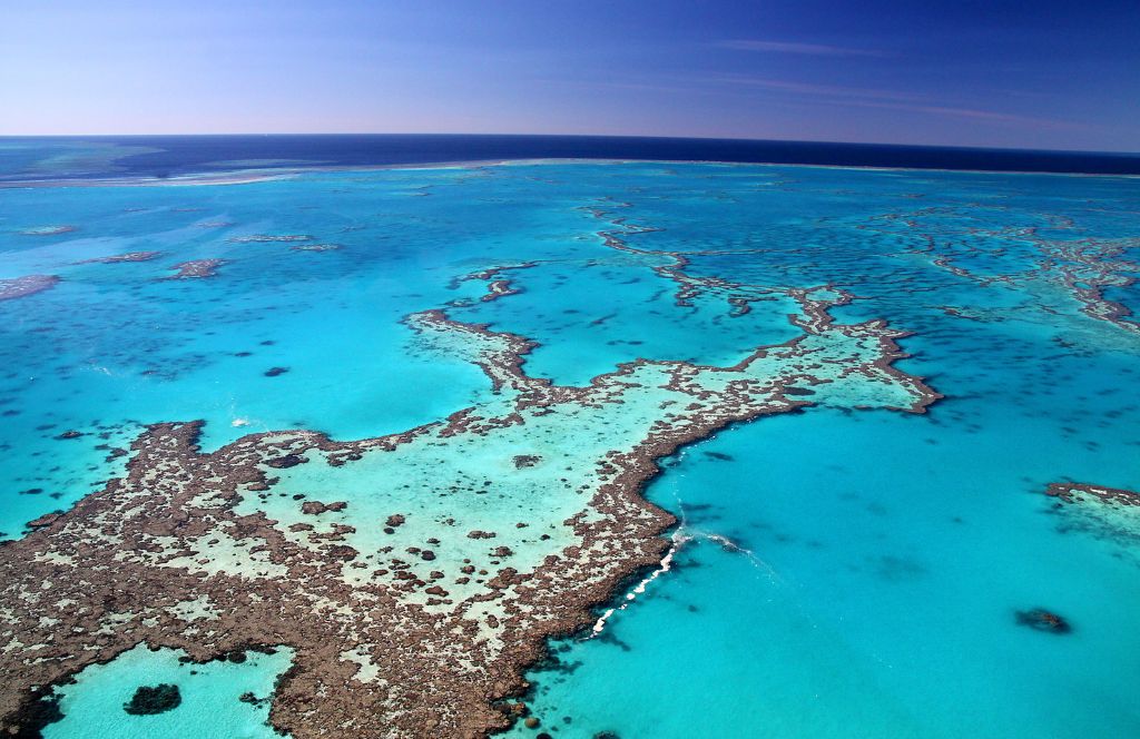 great barrier reef 