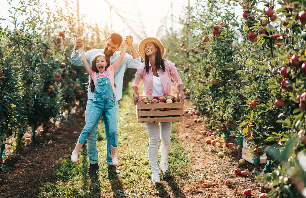 go fruit picking with your family during the UK summer holidays